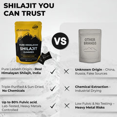 Serving idea: one or two Shilajit Gummies