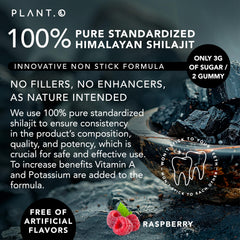 Nutritional label and minerals of Shilajit Gummies