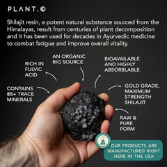 Fulvic acid and trace minerals detail in Shilajit Gummies