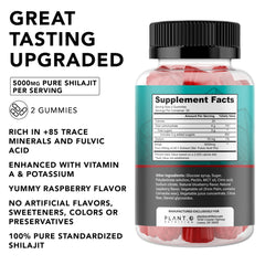 Lifestyle scene of Shilajit Gummies for energy and vitality