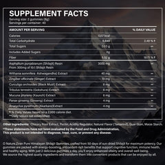 Shilajit gummies with Ashwagandha and Gokshura - 85 minerals