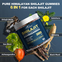 Shilajit gummies with organic honey and vegan ingredients