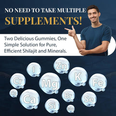 Daily dose of two Shilajit gummies