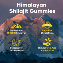 Shilajit Gummies Gold ingredients: Ashwagandha, Saffron, Gokshura, Safed Musli