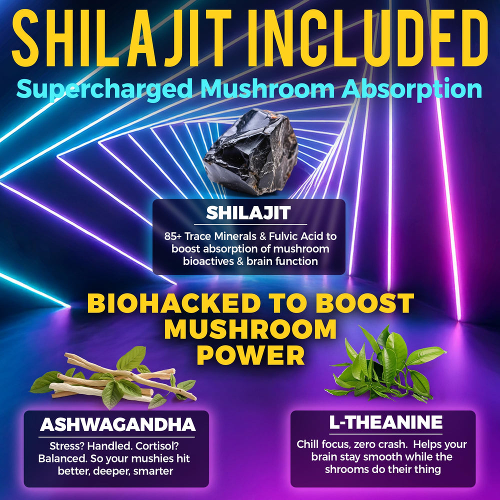 Shilajit minerals for enhanced absorption