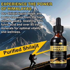 Graphic illustration of 85 trace minerals in Shilajit