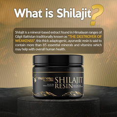 Close-up of Shilajit resin highlighting mineral richness and texture