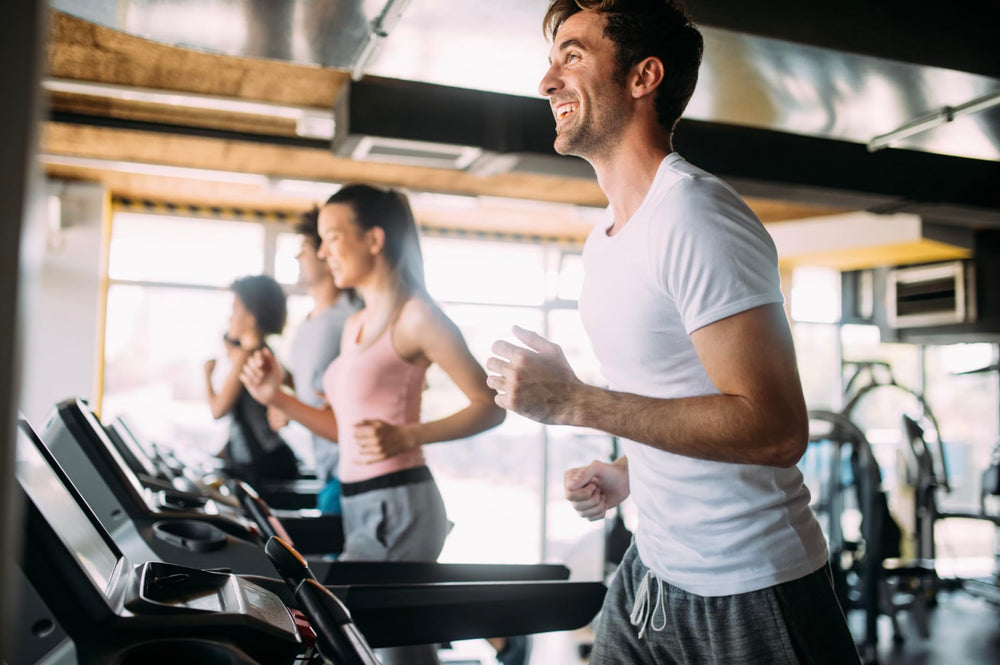 Serving size 300mg Shilajit Resin