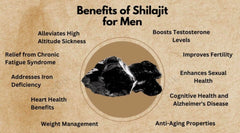 High-altitude Himalayas source mountains for Shilajit Resin