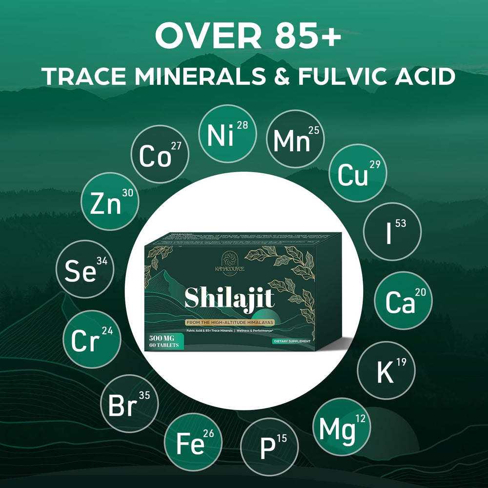 Laboratory test report for Shilajit tablets