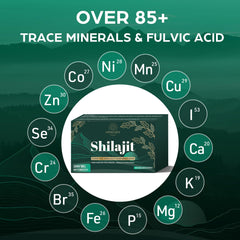 Laboratory test report for Shilajit tablets
