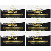 Bottle of 30,000 mg Shilajit tablets, 360-count