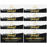 Bottle of 30,000 mg Shilajit tablets with 480 counts