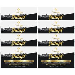 Bottle of 30,000 mg Shilajit tablets with 480 counts