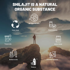 Ashwagandha root beside Shilajit capsules