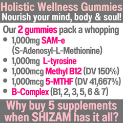 SHIZAM Wellness gummies packshot
