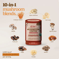 Box of 30 pre-measured instant mushroom coffee packets