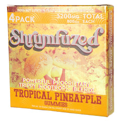 Graphic depiction of mushroom blend: Lion’s Mane, Reishi, Cordyceps, Chaga