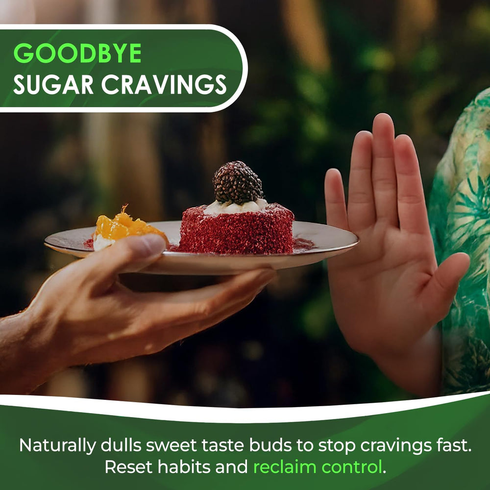 Gymnema Sylvestre extract illustration for sugar blocking