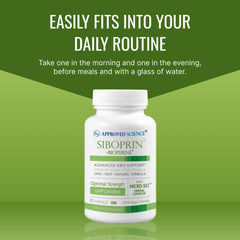 Digestive health concept illustrating gut balance and comfort