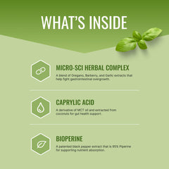 Illustration of gut balance and digestive support
