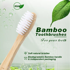 Soft nylon bristles on a durable bamboo handle for gentle brushing