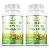 SIGNILIFE Berberine with Cinnamon bottle and capsules showing 1200mg Berberine HCl