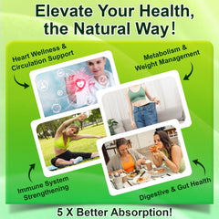 Graphic highlighting immune support and gut health benefits