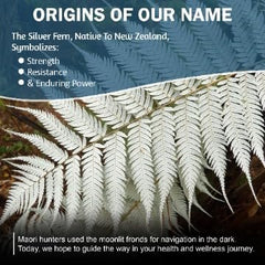 Green Tea caffeine source in Silver Fern Stress Complex