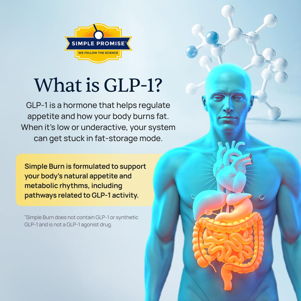 Illustration of GLP-1 supporting ingredients and berberine