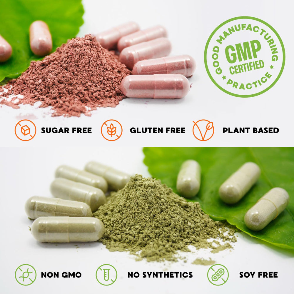 Close-up of ingredients like kale, broccoli and berries
