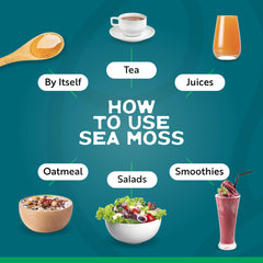 Single-ingredient wildcrafted sea moss