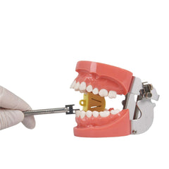 Sino Dental Group branding on the stainless steel gauge