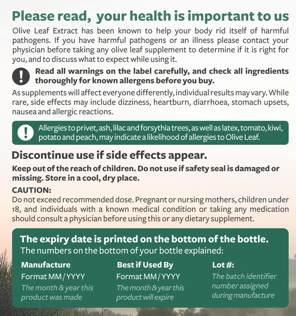 Six-month supply packaging for olive leaf capsules