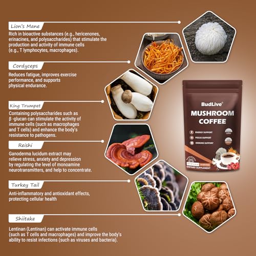 Six mushroom varieties used in the blend