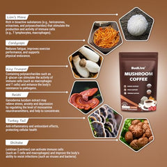 Six mushroom varieties used in the blend