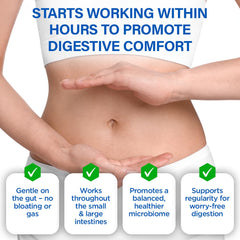 Advanced 6-strain probiotic formula for adults