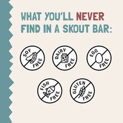 Skout Organic Protein Bars Variety Pack on-the-go snack appeals to busy mornings