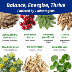 Sleep support and rest improvement from Ashwagandha