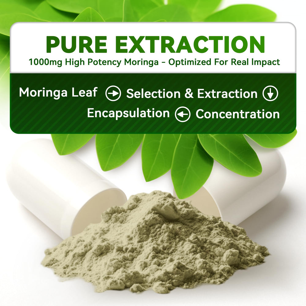 Moringa supplement promoting sleep and daily energy