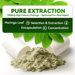 Moringa supplement promoting sleep and daily energy
