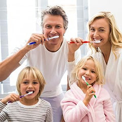 Bulk display of SLequipo toothbrushes by color