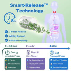 Graphic illustrating the 3-phase Smart-Release technology