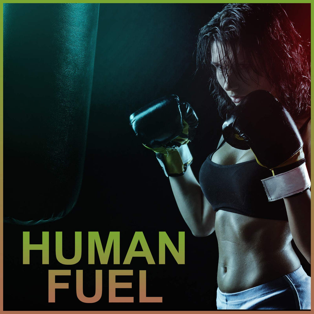 Concept image of sustained energy and mood support