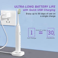 Waterproof exterior design of Smile-O-Villa toothbrush