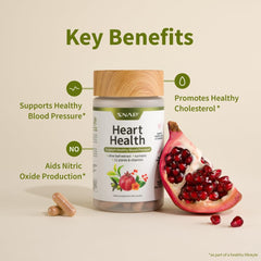 CoQ10 and beetroot powder for energy and nitric oxide support