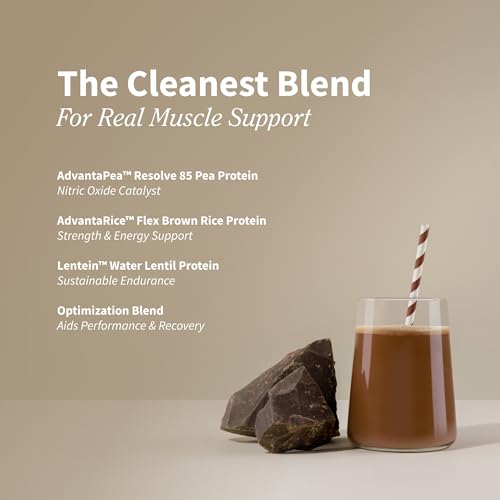 Close-up of chocolate vegan protein powder texture