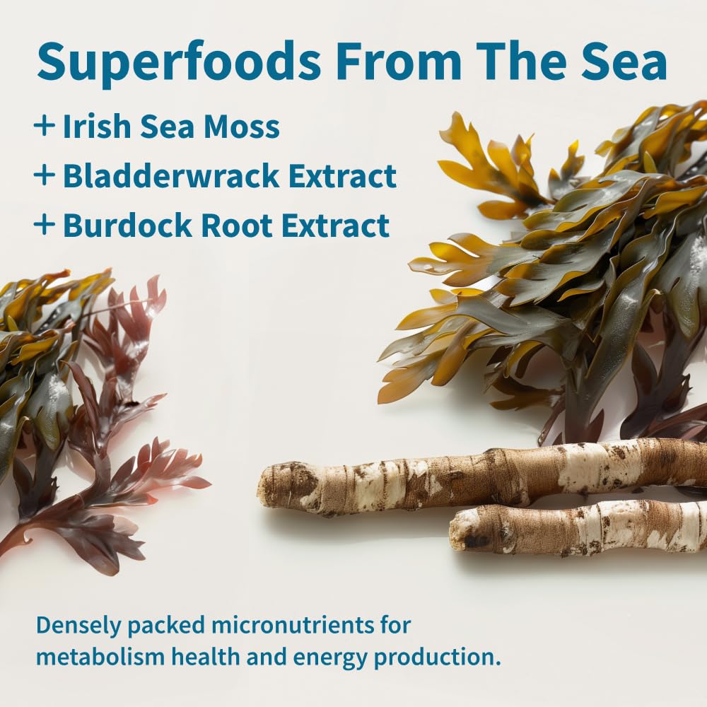 Back label showing ingredients and supplement facts