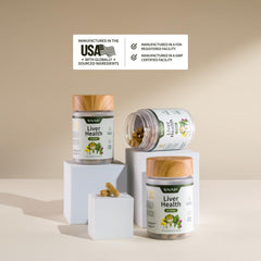 Milk thistle and artichoke extract illustration