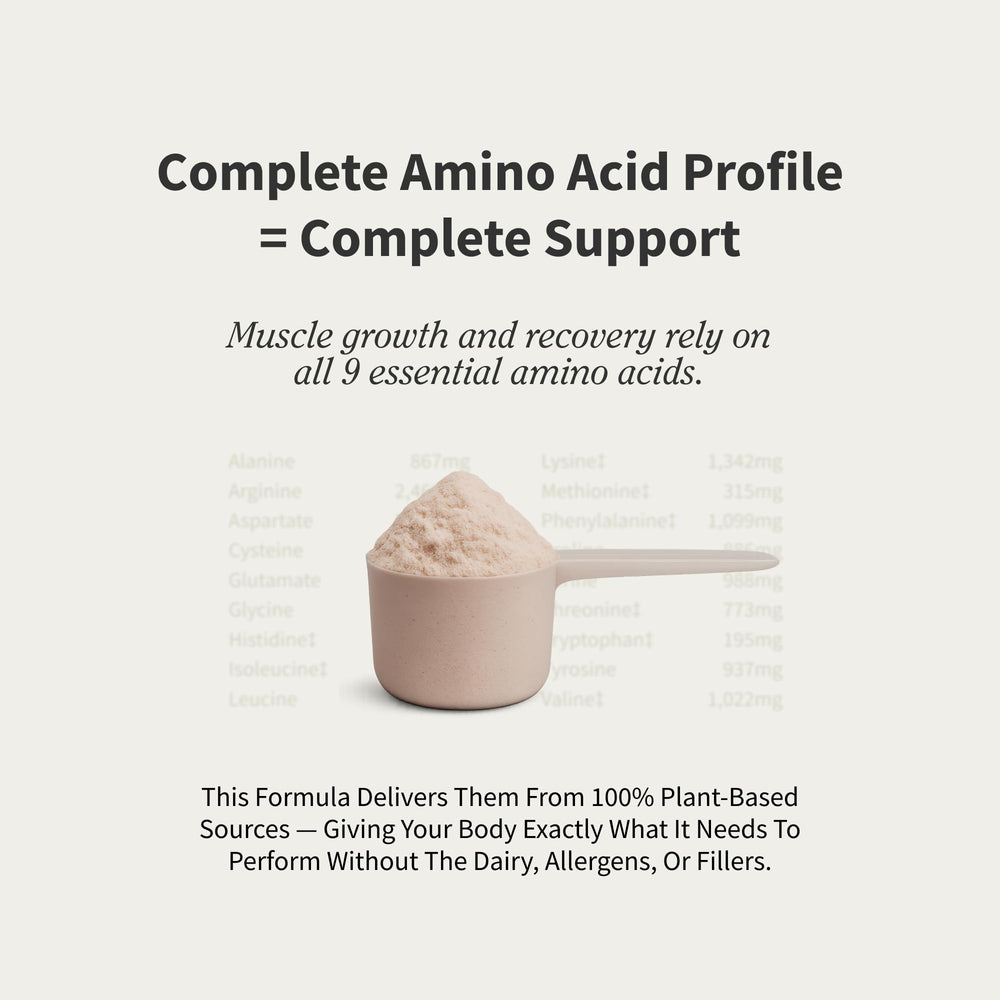 Organic plant-based vegan protein powder nutrition and ingredients